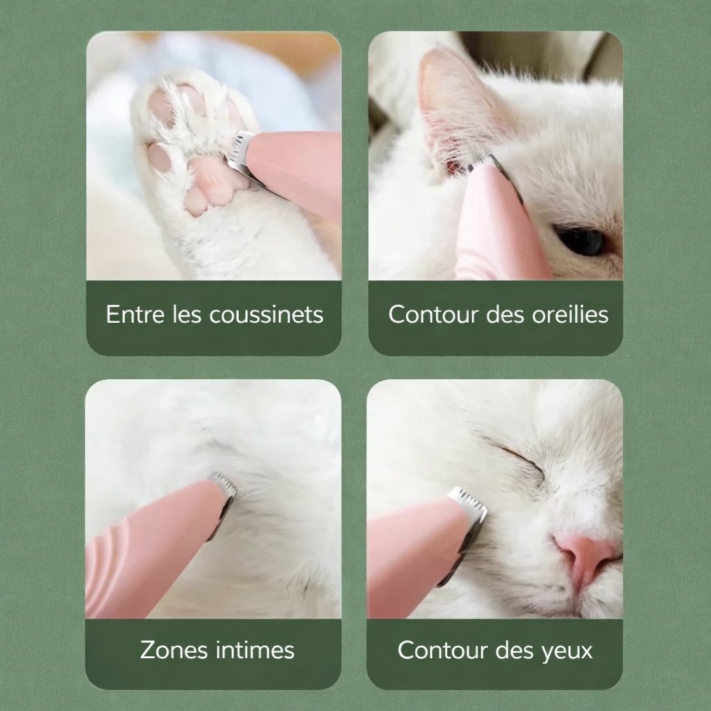 PawPerfect - Kit Soin des Pattes